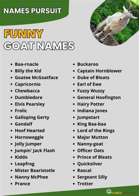 funny goat names puns|More.